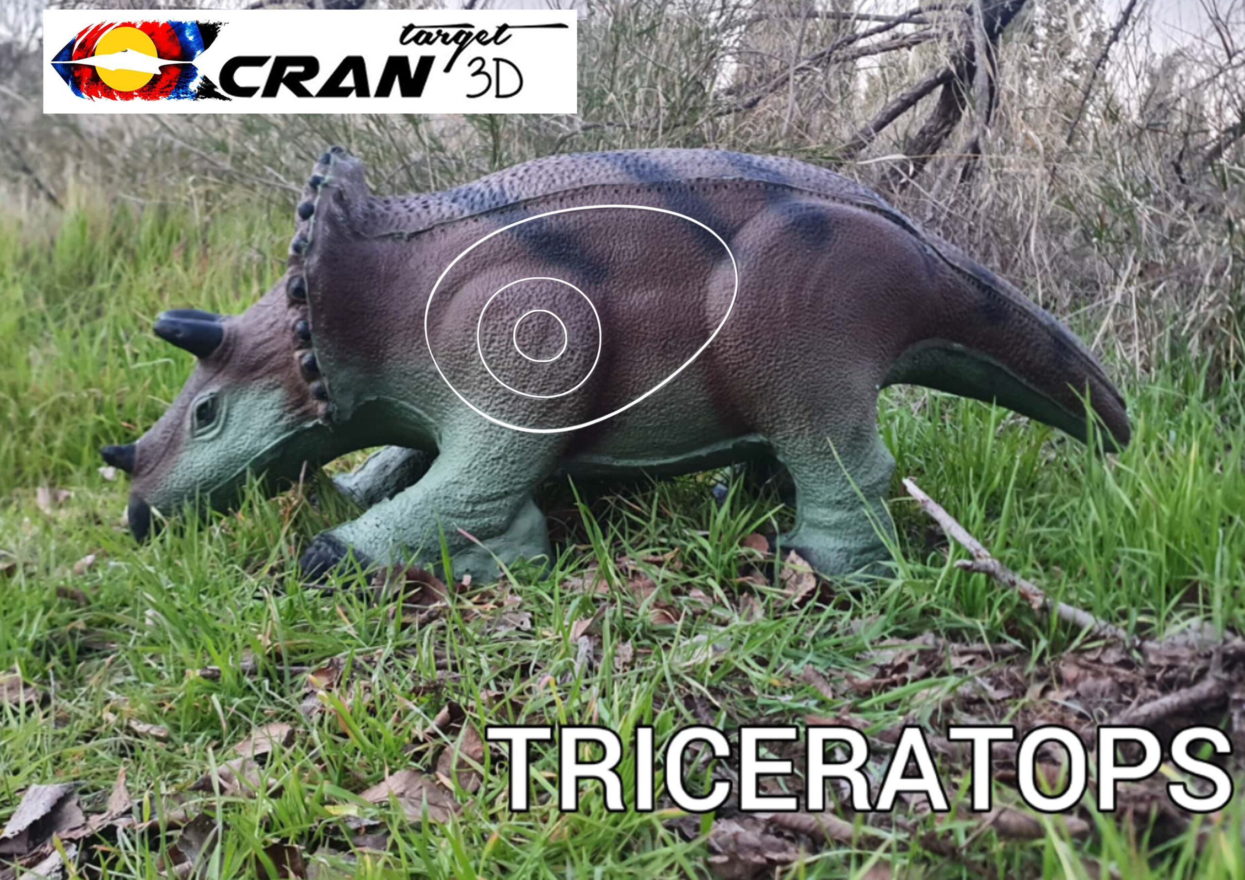 Triceratops-2-scaled