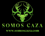 Capture d’écran 2025-02-22 123948